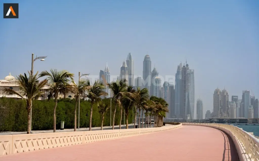 dubai-img-1.webp
